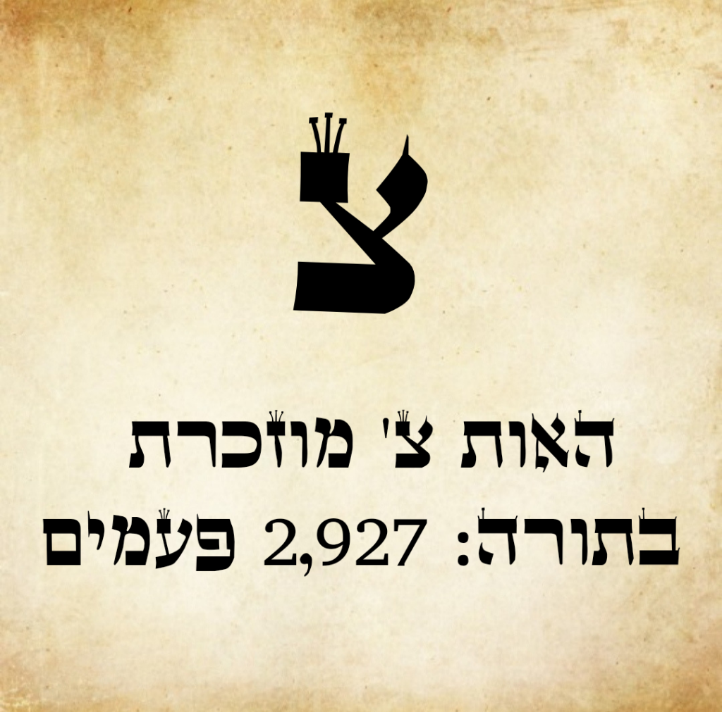 אות צ' - רק 10 ש