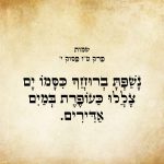 נָשַׁפְתָּ בְרוּחֲךָ כִּסָּמוֹ יָם צָלֲלוּ כַּעוֹפֶרֶת בְּמַיִם אַדִּירִים.