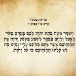 וַיֹּאמֶר מֹשֶׁה בְּתֵת יְהֹוָה לָכֶם בָּעֶרֶב בָּשָׂר לֶאֱכֹל וְלֶחֶם בַּבֹּקֶר לְשֹׂבֹּעַ בִּשְׁמֹעַ יְהֹוָה אֶת-תְּלֻנֹּתֵיכֶם אֲשֶׁר-אַתֶּם מַלִּינִם עָלָיו וַאֲנַחְנוּ מָה לֹא עָלֵינוּ תְלֻנֹּתֵיכֶם כִּי עַל-יְהֹוָה.