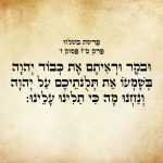 וּבֹקֶר וּרְאִיתֶם אֶת-כְּבוֹד יְהֹוָה בְּשָׁמְעוֹ אֶת-תְּלֻנֹּתֵיכֶם עַל-יְהֹוָה וַאֲנַחְנוּ מָה כִּי-תַלִּינוּ עָלֵינוּ.