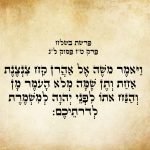 תמונה של טקסט בעברית המציין "פרשת בשלח פרק ט"ז פסוק ל"ג".