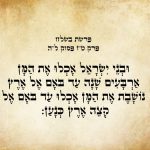 ארבעים שנה אכלו בני ישראל את המן עד בואם אל ארץ כנען.