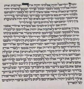מזוזה עם המילים "שמע ישראל ה' אלהינו ה' אחד" מתוך ספר דברים, פרק ו', פסוק ד'. הטקסט כתוב באותיות עבריות מנוקדות על רקע דמוי נייר.