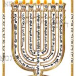למנצח על קלף בצורת המנורה
